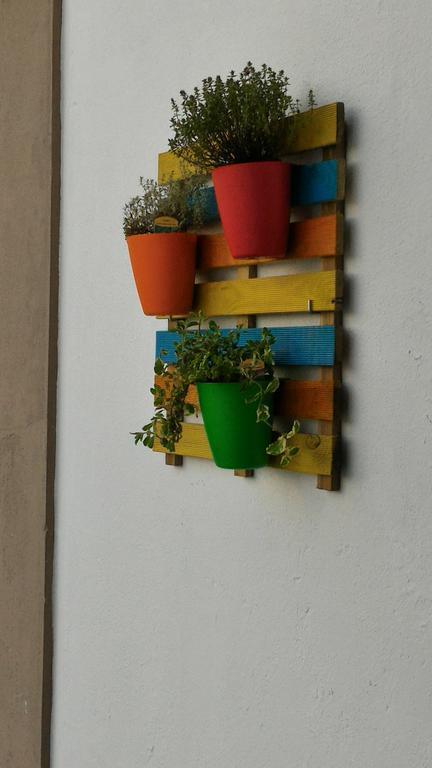 S. Thome Apts Ovar Kültér fotó